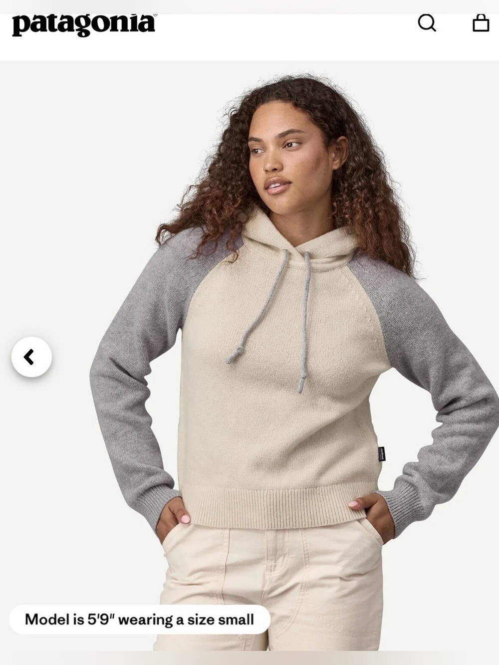 Patagonia Women’s Recycled Wool-Blend Hooded Pullover Sweater , size Large